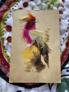 Antique Vtg Victorian Real Bright Feather Bird Hand Painted 4.5 x 3 Postcard - Picture 1 of 12