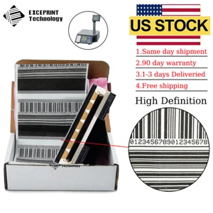 ✅ Printhead for Mettler Toledo 3600 3610 3650 3680 3695 3950 Bpro BCom US STOCK✅ - Picture 1 of 7