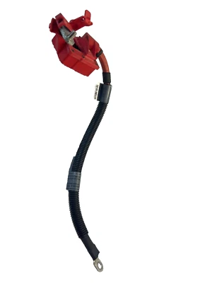 BMW X5 X6 2007-2013 E70 E71 batería positivo cable de poste teminal OEM 9217004-02 Foto 1 de 4