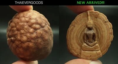 RELIQUES EN PIERRE DE BOUDDHA 300 YOD DE MOINE SI-VA-RI SCULPTÉ BOUDDHA... - Photo 1/4