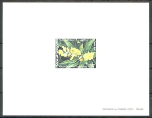 New Caledonia Sc639 Flower, Hibbertia Baudouinii, Deluxe Proof - Picture 1 of 1