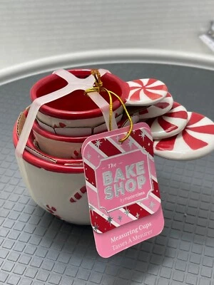 Juego de tazas medidoras de menta Master Class Dolomita lavado a mano solo 1/4 1/3 1/2 1 Foto 1 de 4