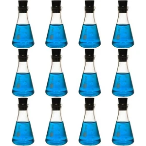 50ml Erlenmeyerkolben schmaler Mund mit Gummistopfen, Glas (12er Pack) - Bild 1 von 2