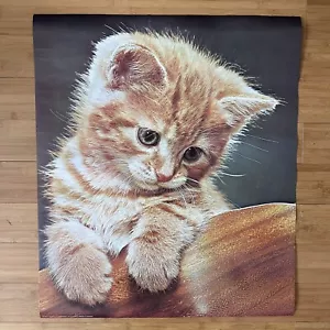 Vintage dänisch 1974 Ingwer Tabby KÄTZCHEN Poster Katzen 24,5 Zoll x 28,5 Zoll Mitte des Jahrhunderts - Bild 1 von 4