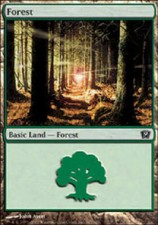 Forest 347 9th Edition Light Play LP MTG Magic DNA GAMES