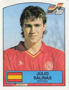 150	Julio Salinas ESPANA- cut out ✂ - Panini UEFA EURO 88 Germany - Bild 1 von 1