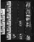Contact Photo Sheet Negatives ROSALIND RUSSELL GREGORY PECK TIMOTHY BOTTOMS SAM