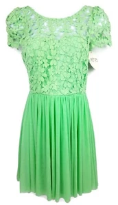 Xenia Boutique Womens Dress 8 Green Crochet Lace Floral Sweetheart Knife Pleat  - Picture 1 of 9