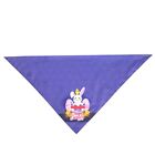 Easter Dogs Bandanas Adjustable Pet Collar Easter Theme Rabbit Print Neckscarf