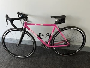 Independent Fabrication Crown Jewel PINK Steel Road Bike Handmade in MA - Picture 1 of 11