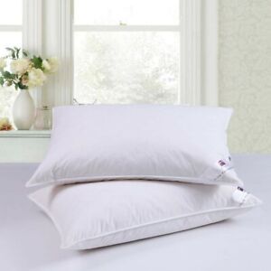 GOOSE FEATHER & DOWN PILLOWS PILLOW EXTRA FILLED HOTEL QUALITY PACK OF 2