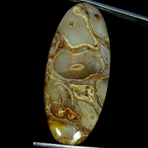 19.20 Cts Natural Rock Calci Agate Necklace Making Oval Cabochon 15X35X4MM - Picture 1 of 6
