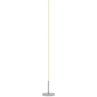 HOMCOM Lampada da Terra LED Regolabile con Telecomando Alta 150cm Argento - Immagine 1 di 4