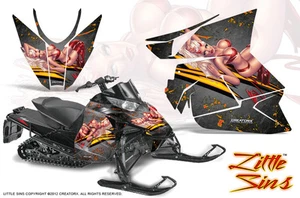 KIT DE GRÁFICOS PARA MOTOS DE NIEVE ARCTIC CAT PROCROSS PROCLIMB CREATORX LSS - Imagen 1 de 1