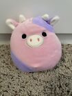 5? Squishmallow Patty The Cow Purple Pink Box Set Squishmallows Cows
