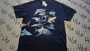 Medium NWOT Youth Shark Catalina Island CA Shirt - Picture 1 of 6