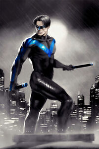 Nightwing in the Rain City Buildings Art Print Decor - POSTER 20x30