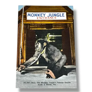 AK Bulu Affe Dschungel Lieblingsgorilla Miami Florida Leinenkarte C43 - Bild 1 von 2
