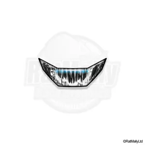 WSBK STYLE HEADLIGHT STICKERS - BMW F900R RACE TRACK GRAPHICS. RatMallyLtd - Bild 1 von 1