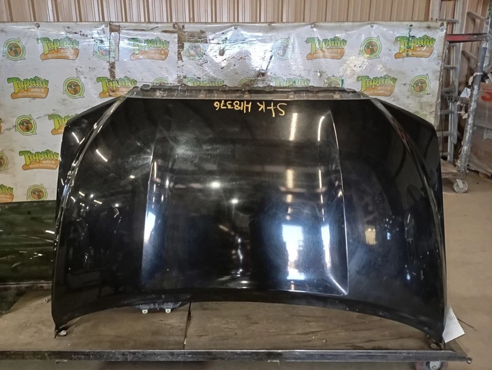 Hood Fits 08-22 SEQUOIA 3974550 - Изображение 1 из 4