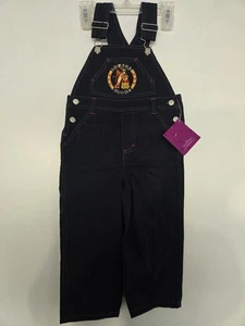 Disney POOH "100 Acre Buddies" Kollektion marineblauer Overall Gr. 4T - Bild 1 von 7