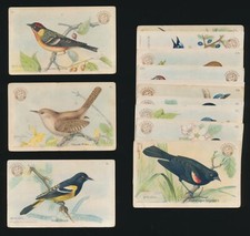 1922 J7 "Arm & Hammer" USEFUL BIRDS of AMERICA (3rd Series) -Part Set (13 of 30)