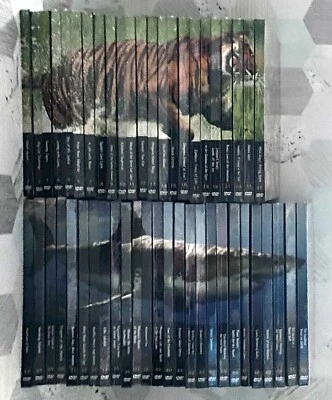 Natural Killers Predators Close Up 49x DVD Bundle - 1 Not New - 3 missing - Rare - Image 1 of 4