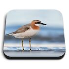 Square Mdf Magnets - Greater Sand Plover Bird  #12558