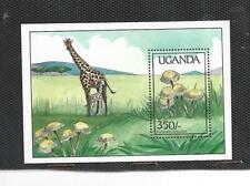 Uganda Micologia Setas Fauna hojita del año 1989 (FV-769)