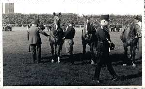 Hippique Horse Sports Países Bajos RPPC 06.69 - Imagen 1 de 2