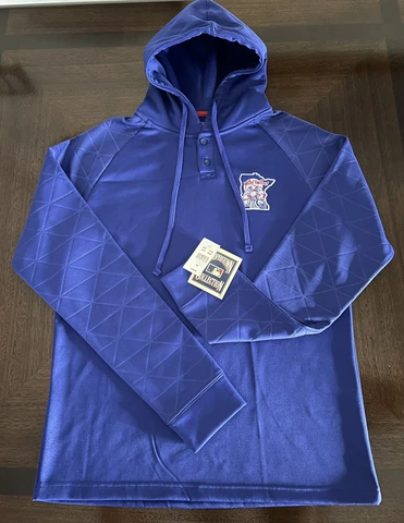 True Fan MLB Hoodie (MINNESOTA TWINS) 1/4 Button Sweatshirt. Blue Size Medium Cover