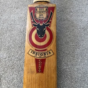 Hunts County Insignia Cricket Bat - Picture 1 of 19