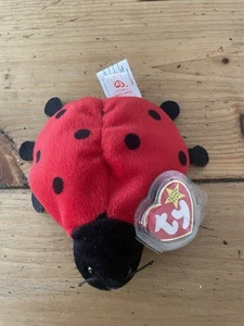 TY Beanie baby Lucky Lady Bird PE Pellets 1995 - Picture 1 of 2