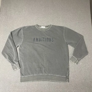 Phenomenal Sweatshirt Small Ambitious Long Sleeve Pullover gray large crew neck - Picture 1 of 14