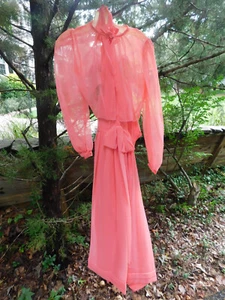 Vestido Elegante Rosa Bianchi Vintage Cintura 25" Gasa Volantes - Imagen 1 de 6