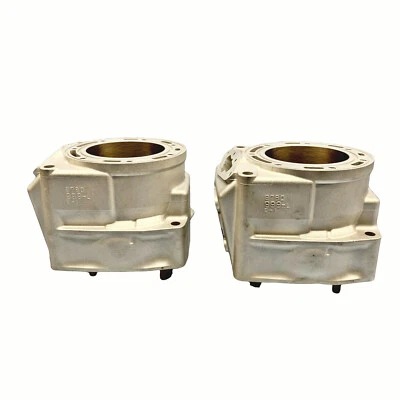 Arctic Cat 1000 气缸 07-11 97B0 3007-243 F1000 M1000 重新电镀原始设备制造商 08 09 10 — 第 1/4 张图片