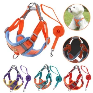 Set Guinzaglio Ves Riflettente per Animali Domestici Cuccioli Regolabili Ka J1L5 - Foto 1 di 33