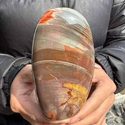 Piedra de palma jaspe océano cristal pulido natural 1,7 lb policromado jaspe curación Foto 1 de 4