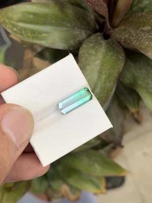 3.34Cts Beautiful Bicolour Tourmaline Dimension 15x6x4￼ - Image 1 of 4