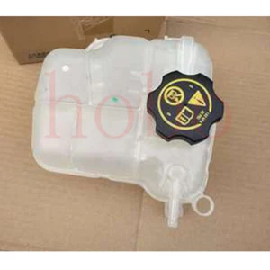 1x Para Buick LaCrosse 2009-17 Interior Coche Almacenamiento Tanque de Agua Anticongelante Hervidor de Agua - Imagen 1 de 1