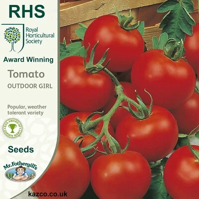 Tomato Seeds 'Outdoor Girl' by RHS Vegetable Seeds FREE UK DELIVERY Sow by 2028 - Image 1 of 4
