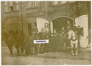 Chicago Fire Dept #17 Photo CFD Station Firefighting Horses Pump Engine L109 - Picture 1 of 2