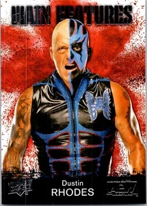 Dustin Rhodes Main Features MF-12 2021 Upper Deck AEW 1st Edition - Picture 1 of 2