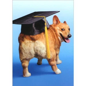 Graduation Greeting Card - Corgi Dog Grad - Picture 1 of 2