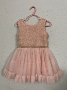 The Children's Place Rose Girls 18-24M Holiday Party Dress Glitter Tulle Skirt - Picture 1 of 6