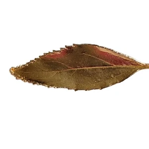 Broche broche hoja aspecto natural tono dorado grande llamativo pasarela otoño otoño - Imagen 1 de 3