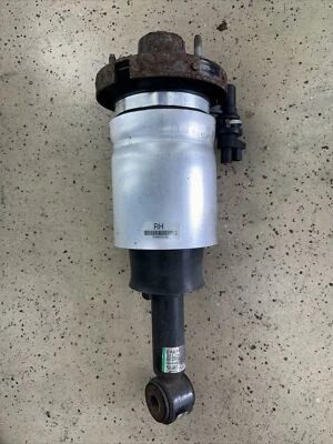2008 Lincoln  Navigator Air Strut Assembly, Rear Passenger Side (RH) - Image 1 of 4