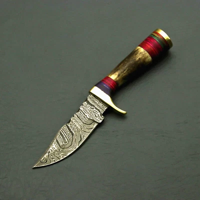 Cuchillo de acero Damasco forjado a mano personalizado de 6 pulgadas con hermoso mango de asta Foto 1 de 4
