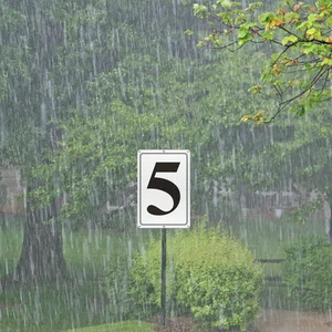 Premium Aluminum Number Signs 5, Metal 12" X 8" Numbered Signs Outdoor for Pa... - Picture 1 of 12