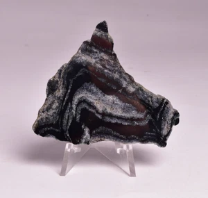 MICROBIALITA, REBANADA DE HIERRO CON BANDAS ISUA, 3,77 A.C.A Suroeste de Groenlandia S181 - Imagen 1 de 5